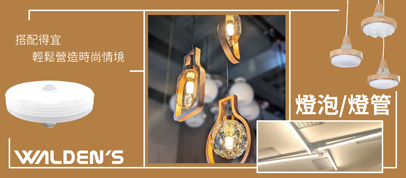 燈泡/燈管/飛碟燈泡