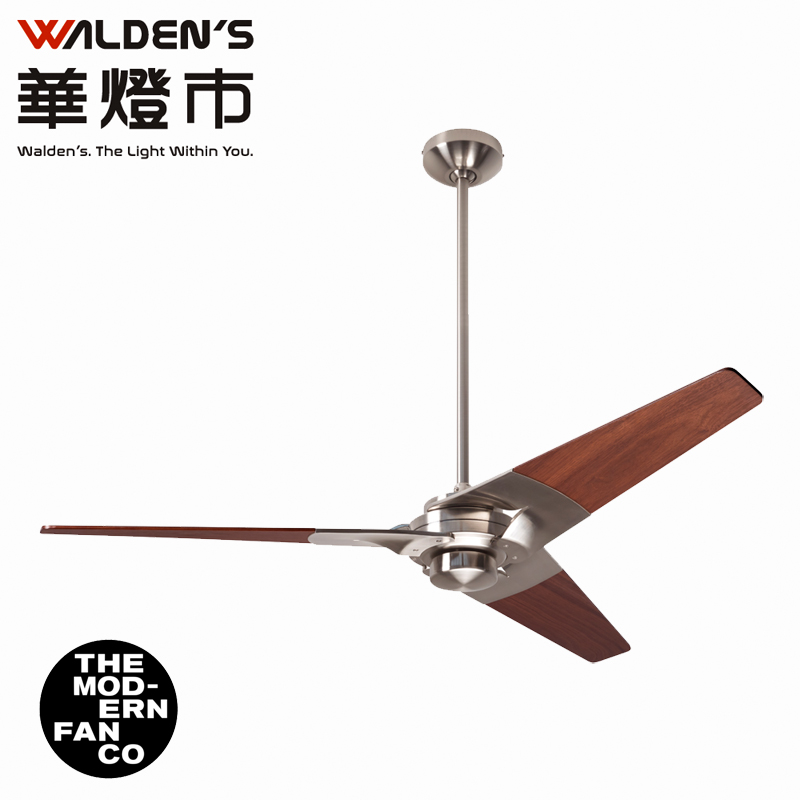 Modern Fan 摩登扇