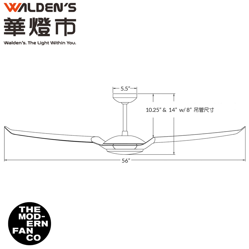 Modern Fan 摩登扇