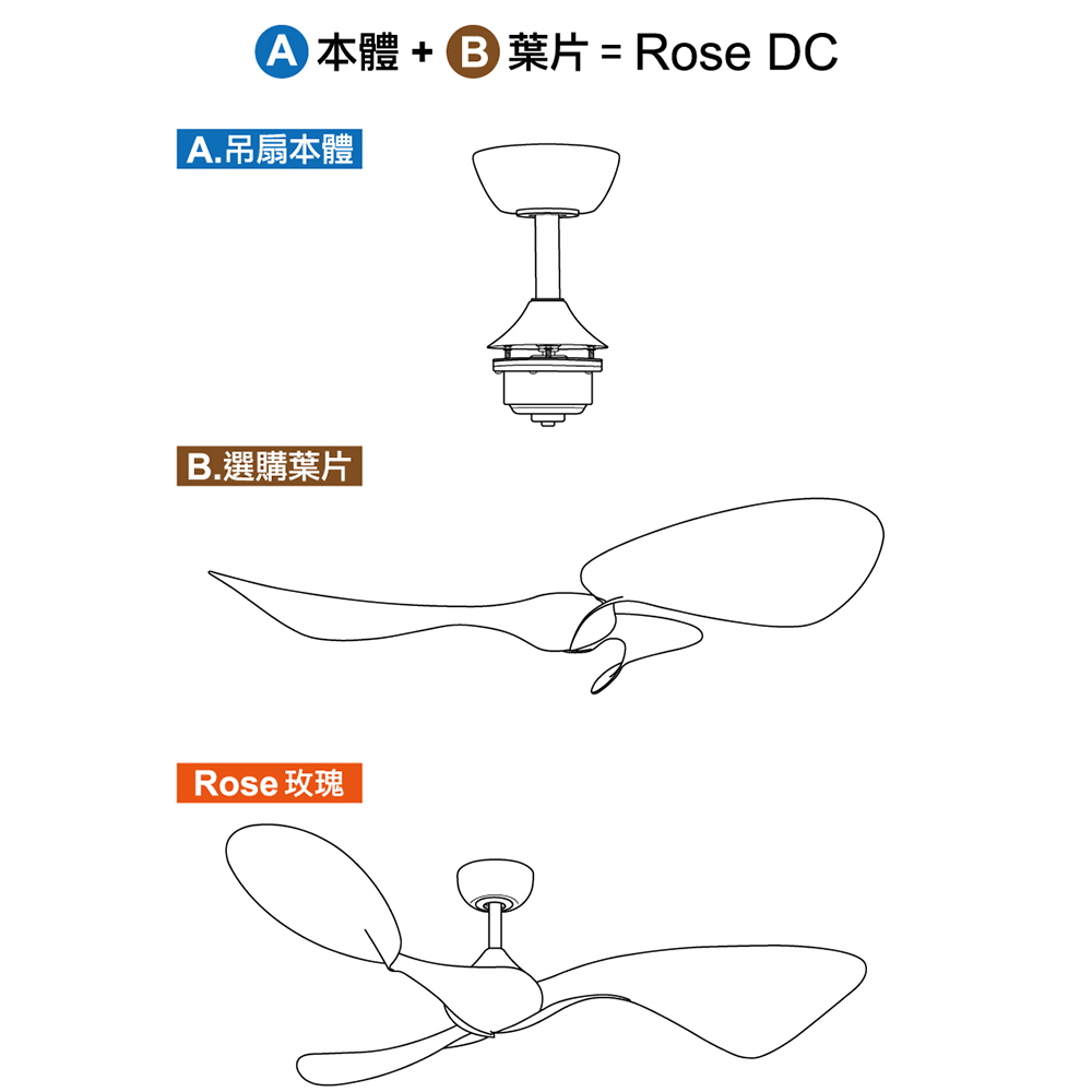 分酷玫瑰分解圖